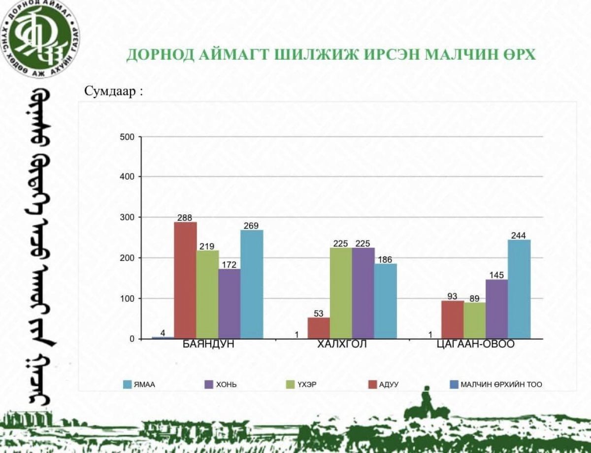 Дорнод аймагт 13 аймгийн 71 малчин өрх оторлож байна