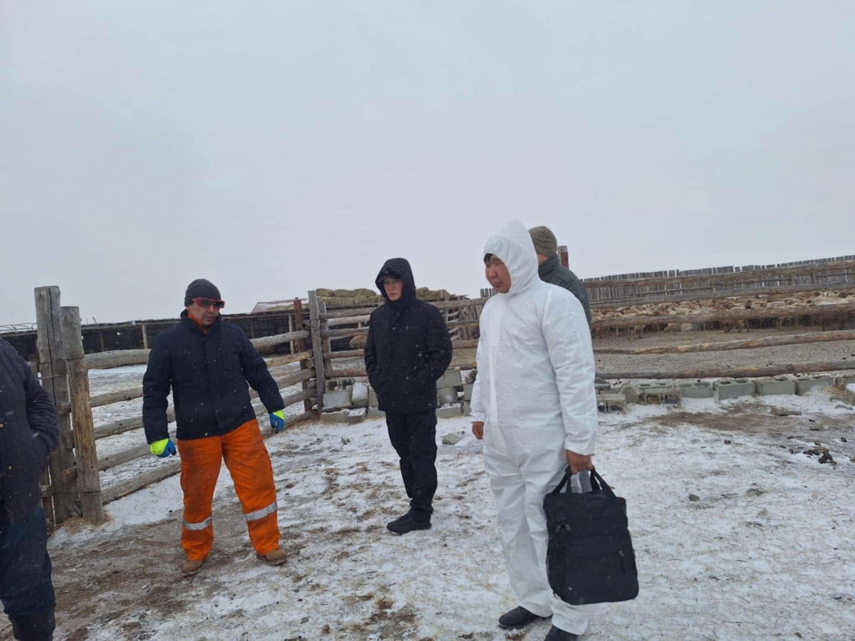 АЙМГИЙН БАЙГАЛЬ ОРЧНЫ ГАЗАР, БАЙГАЛЬ ХАМГААЛАЛТЫН ЗАХИРГААТАЙ ХАМТАРСАН АЖЛЫН ХЭСЭГ ХӨЛӨНБУЙР СУМАНД АЖИЛЛАЖ БАЙНА